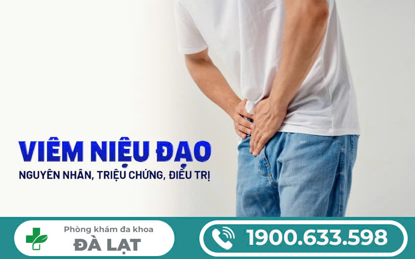 VIÊM NIỆU ĐẠO: NGUYÊN NHÂN, TRIỆU CHỨNG VÀ CÁCH CHỮA
